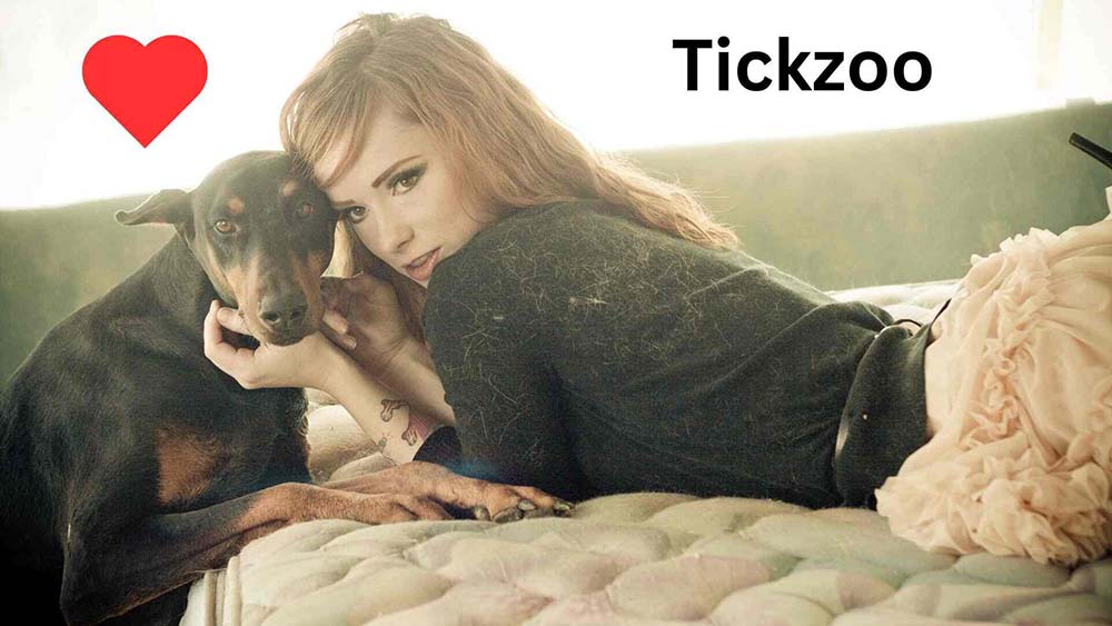 What is Tickzoo? Is Tickzoo down? Check out the Full Details Women